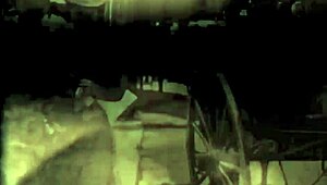 dark lantern presents a sea voyage from my secret life erotic confessions