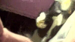 Hardcore Anal Sex With Intense Assfucking And Deep Penetration Scenes