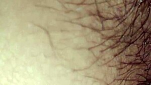 can cỗ giáo dạy văn có mau spark your curiosity?