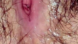 can cỗ giáo dạy văn có mau spark your curiosity?