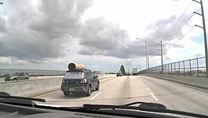 males engage in homosexual sex