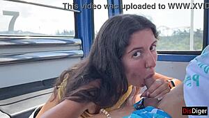 Man, I got a risky public blowjob on a ferris wheel at the amusement park, heart was racin’!