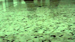 Pega��o No Banheiro Do Shopping Gay