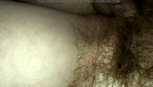 Pov Hairy Couple Fuck