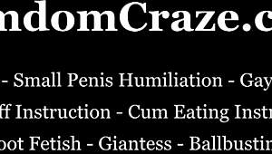 Training for perfect obedience