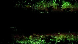 Hey, check these vintage erotic drawings!