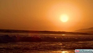 Shemale Tori Easton Licks Charlotte Sins