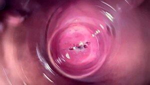 look at that camera deep in mia's creamy pussy