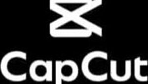 i had the best quickie with dwarf pitoco