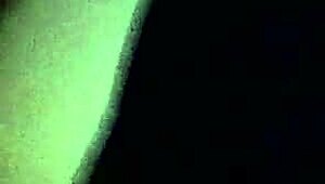 This video captures a simple scene from October 29, 2014, at 1:39 PM