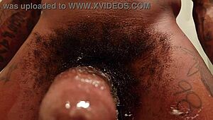 hallelujah johnson worships big black dick with sucking