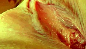 Solo Masturbation With Phoenix Marie Gonzo Style On Give Me Pink