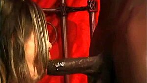 yo, austin prowler, britain’s top agent, rides hard in interracial action