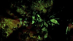 Vintage erotic illustrations sparking old-school charm in every detail