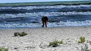 Public beach sex with big cock and shaved pussy action