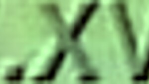 i made this viet homemade video with my amateur friends