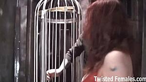 I’m training you to obey like a loyal pet