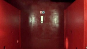 backroom orgy unfolds with wild cumshots in 24 hours