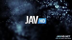 what to do with legs in stockings vol 32, japanese amateurs pussy