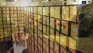 Let's play photo hunt part 15 😊