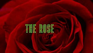 Lady Fyre and Laz Ignite the Screen in Wedding Night Passion