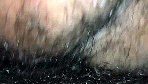 el ancla and his friends have wild fun