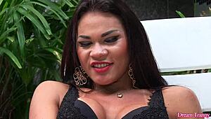 Transsexual Erika Lee Toys and Jerks Off!