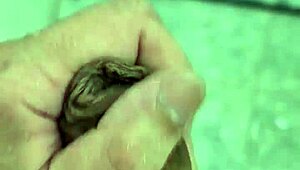 Young Brazilian twink plays solo in steamy shower scene. Just a casual day for him.