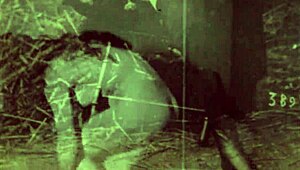 Suggestive Vintage Vibe with Hairy Beaver Stripping Down Slow