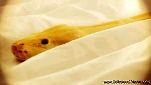 Garden of Eden hides a subtle seductive charm for curious eyes