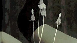 My Secret Life In Soho Square