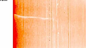 Vintage erotic illustration with classic sensual charm