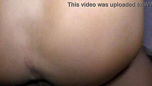 i can't believe carmen electra licked her fan's balls, so wild