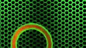 Two Horny Frat Boys Intensely Fuck Spanish Teacher Gabby Quinteros. With Cumshot Facial.