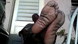 Does this bear master need a slave for his feet?