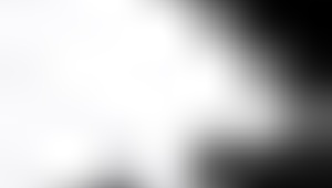 scars of summer after saki unfolds in casual narrative