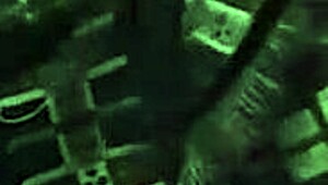 Amateur Blowjob Video from January 30, 2016