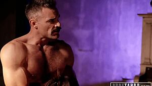 pure taboo emily willis submits fully