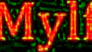 Hey, your pussy needs training too at the gym! Wanna join ThatMylf workout?