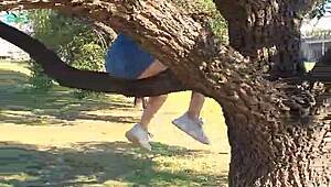 peeing from a tree in gral paz with laughter