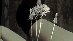 Vintage dark london lesbian lovers in swinging sixties shadows