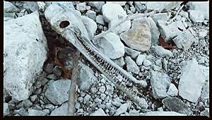 Ever seen wild farm sex straight outta Oklahoma?