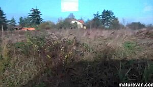 cougars hunting down fresh meat for wild doggystyle