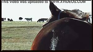 Ever seen wild farm sex straight outta Oklahoma?