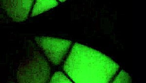 my friend fucked me again, i missed it