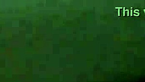 Vietnamese Traditional Style Brings Intense Joy