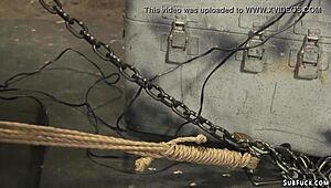 this bound blonde sub in lingerie gets whipped hard! 😱