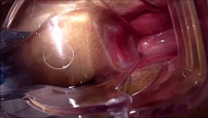 Helena Moeller Goes Wild with Horny Anal Masturbation in Stockings