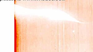 Vintage Erotic Drawings Unveil Hidden Artistic Charm