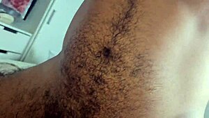 Homens Fazendo Sexo Entre Quatro Paredes - Completos No Sheer